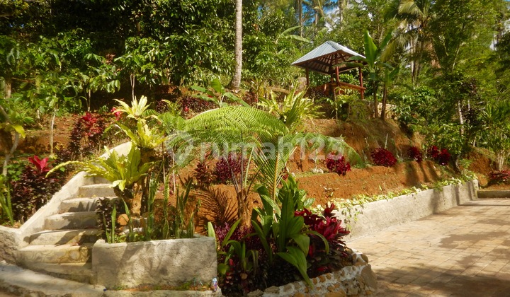Sanda, Tabanan, Freehold land 1.92 Hectare (19,200 Sqm) A Spectacular Multifunctional Property Bali Sanda, Tabanan, Freehold land 1.92 Hectare (19,200 Sqm) A Spectacular Multifunctional Property Bali