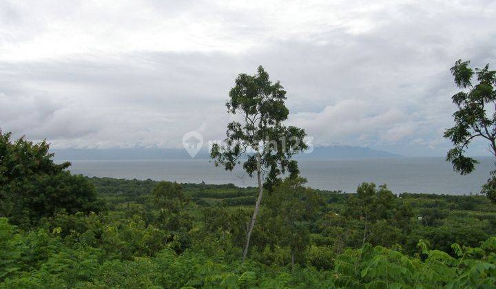 Uninterrupted Beautiful View Hill 3850 Sqm Freehold Land In Nusa Penida 1