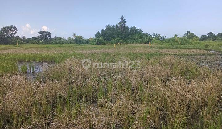 Plots Land Invesment at Belong Beach Kedungu 1