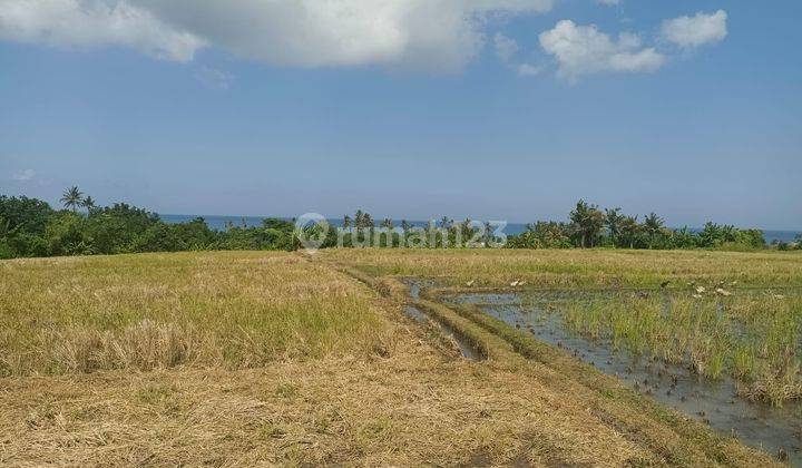 Plots Land Invesment at Belong Beach Kedungu 2