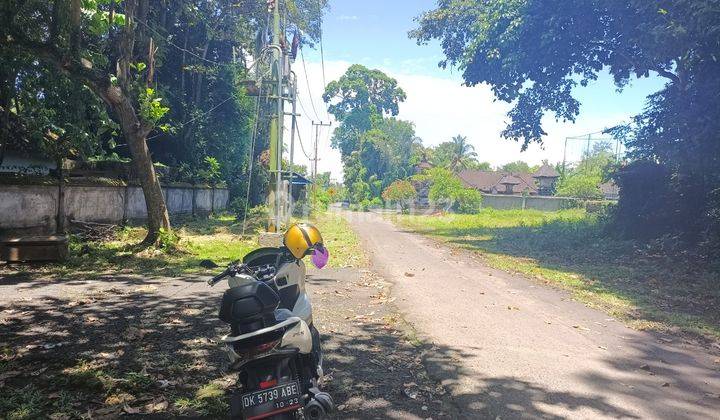 Land Freehold 19400 Sqm in Great Location Kaba Kaba Beyond Canggu 1