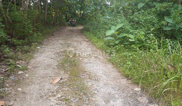 Land Freehold 300 Sqm In Great Location Kutuh 1