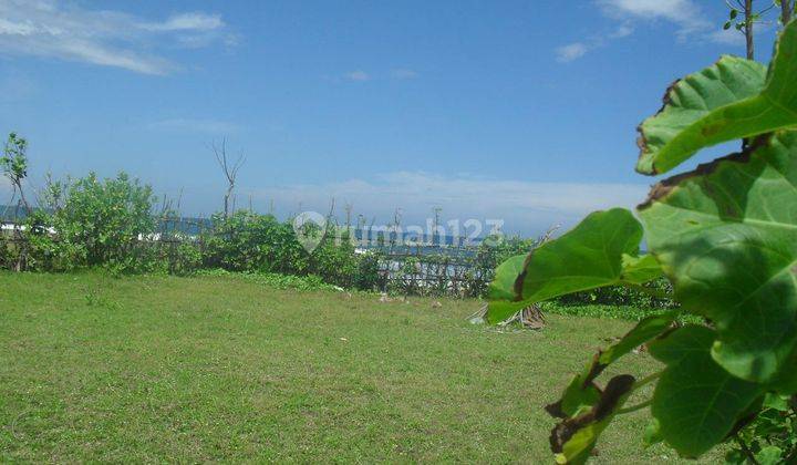 Land Freehold 2000 Sqm  beach Front Negara Bali 2