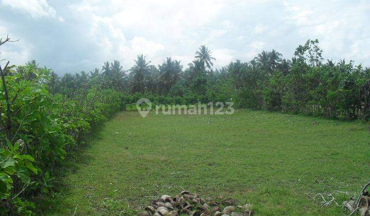 Land Freehold 2000 Sqm  beach Front Negara Bali 1