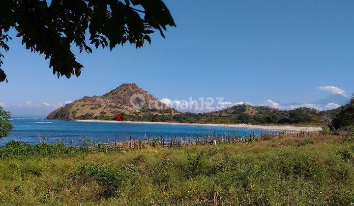 4600 Sqm Land Freehold In Taliwang Sumbawa 2