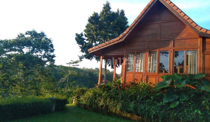 4 Bedroom Freehold Brand New Joglo Villa In Payangan Ubud 1