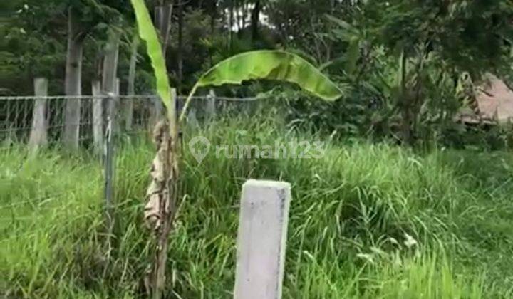 972 Sq m of Freehold Land with Amazing Ricefield Views and River Located Pejeng Ubud 2