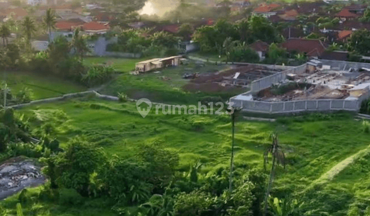 Prime Land Plot Next To Canggu 1