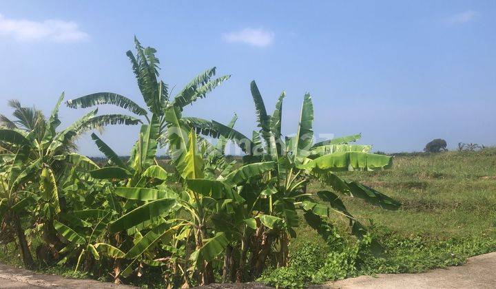 Land Freehold Ocean View in Tabanan Bali