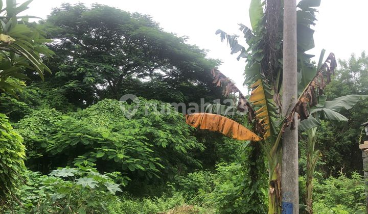 Land Freehold 100 Meter To By Pass Ngurah Rai Jimbaran Bali