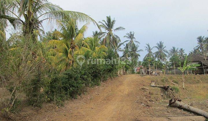 Land Freehold 7 Minute To The Beach Tumbu Karangasem Bali 2