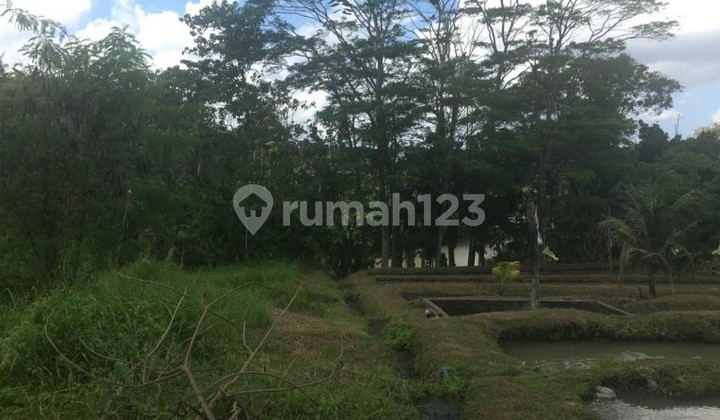 Freehold Land on Main Road 2700 Sqm in Yeh Gangga, Tabanan, Bali