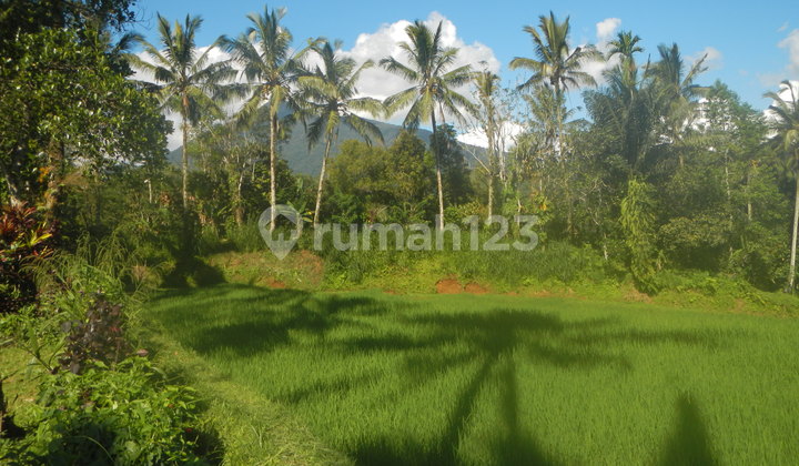 Absolute Natural Set 7450 Sqm Freehold Land in Sanda, Tabanan Bali Absolute Natural Set 7450 Sqm Freehold Land in Sanda, Tabanan Bali