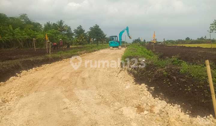 Land Freehold Just Walk To The Beach Belong  Tabanan Bali