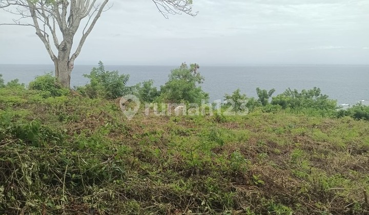 Land Cliff Front Leasehold In Great Location Thomas Beach Bali Land Cliff Front Leasehold In Great Location Thomas Beach Bali