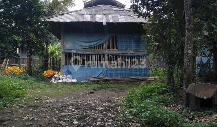 Land Freehold In Payangan Ubud Bali