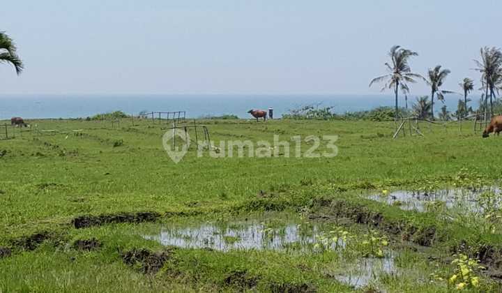 Land 3300 sqm Freehold with Rice Field View and Ocean View Tabanan Bali Land 3300 sqm Freehold with Rice Field View and Ocean View Tabanan Bali
