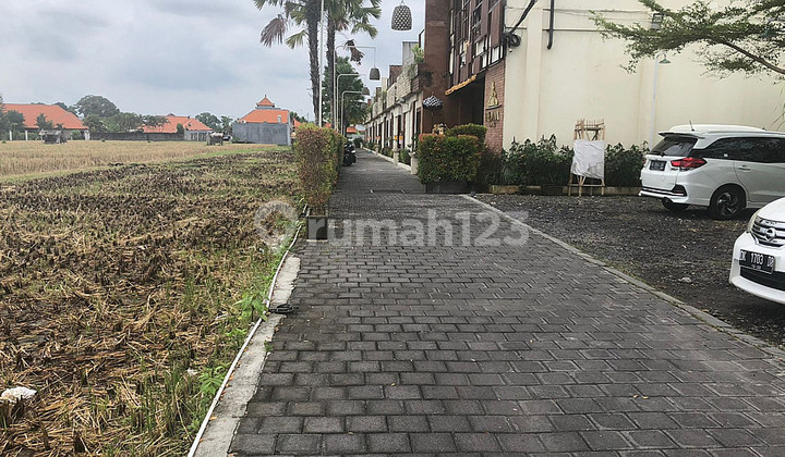 Freehold Land in Great Location Batu Belig Close Seminyak Bali Freehold Land in Great Location Batu Belig Close Seminyak Bali