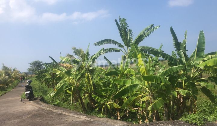 Freehold Land with Ocean View in Tabanan, Bali Freehold Land with Ocean View in Tabanan, Bali