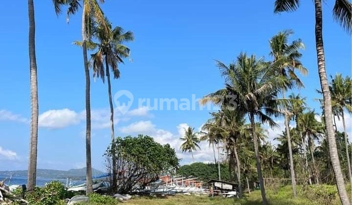 Land Freehold 20.250 sqm Beach front Seraya Karang Asem Bali Land Freehold 20.250 sqm Beach front Seraya Karang Asem Bali