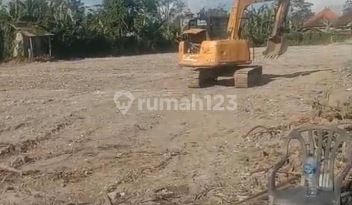 Land Freehold In Parean Tabanan Bali Land Freehold In Parean Tabanan Bali