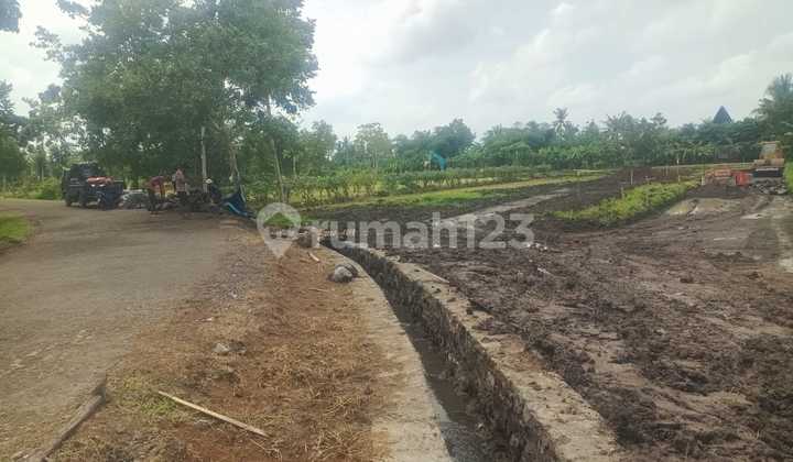 Land Freehold Just Walk To The Beach Belong  Tabanan Bali