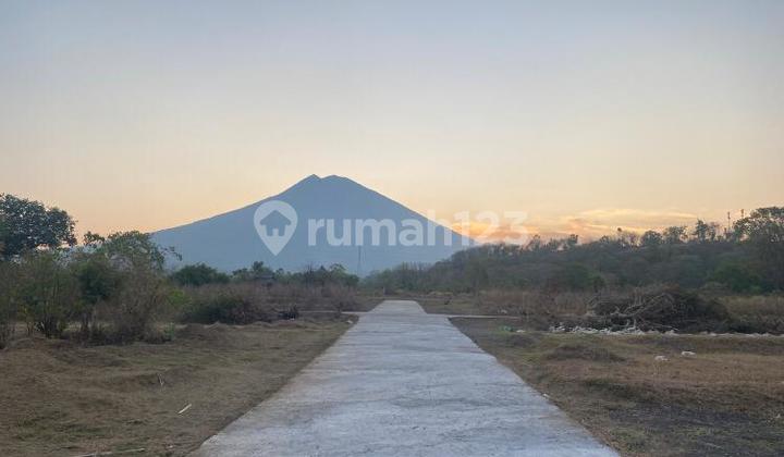 Land Freehold 20 Minute To Amed Beach