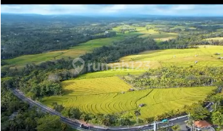 Land Freehold Close Soka Beach Tabanan Bali