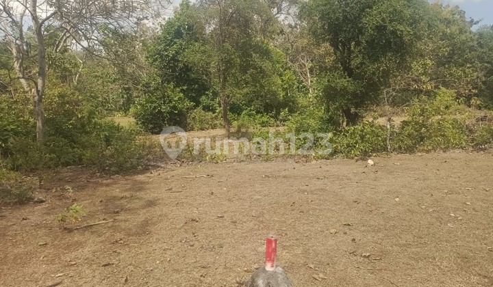 Amazing Land In Great Location Balangan Bali