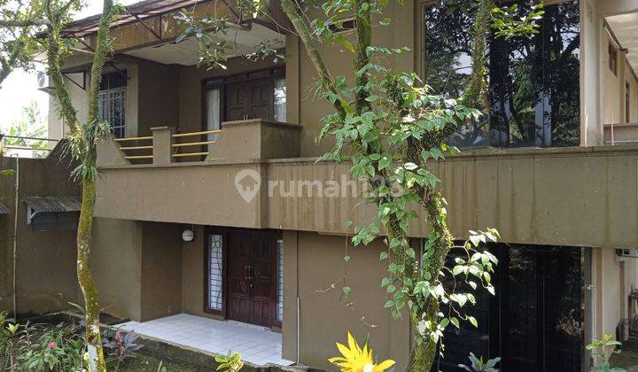 Rumah Villa Luas 2930 Meter Luas Banget Ada Kolam Renang  2