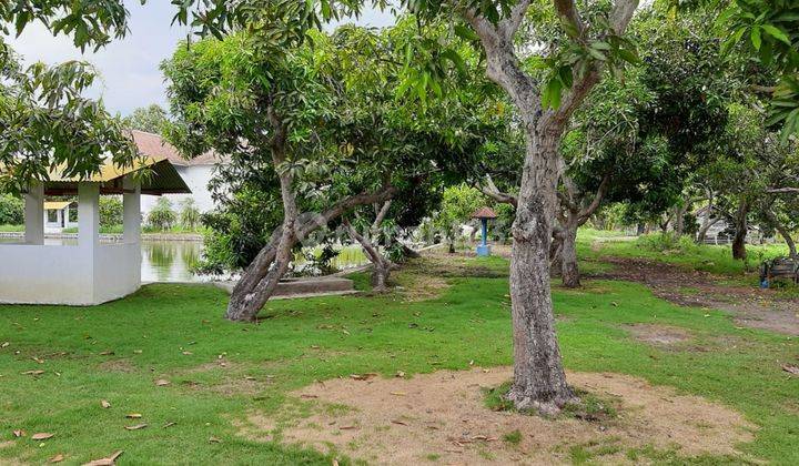 Kavling Cocok untuk Tambak dan sgala usaha 6