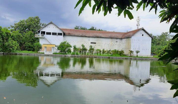 Kavling Cocok untuk Tambak dan sgala usaha bonus Rumah Wallet 2