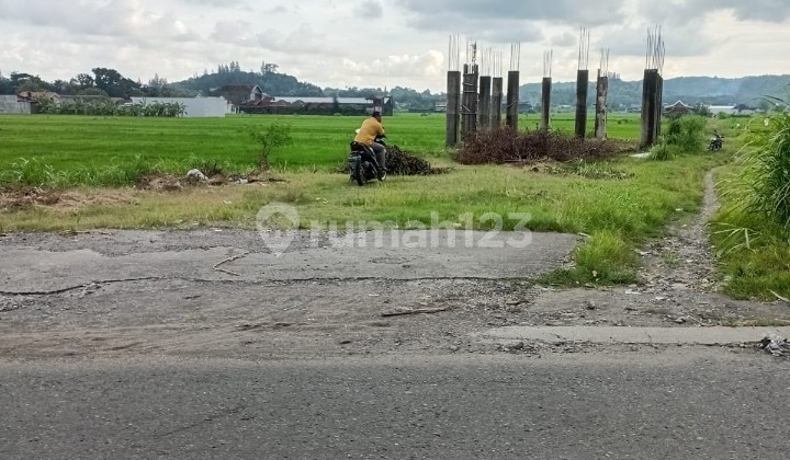 Tanah Bantul Jalan Kasongan Dekat Desa Wisata
