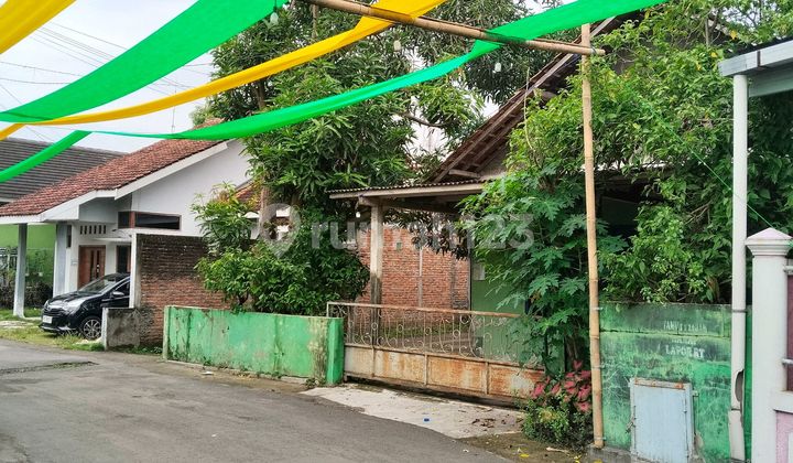 Good Land Near UMY Campus and City Center Good Land Near UMY Campus and City Center