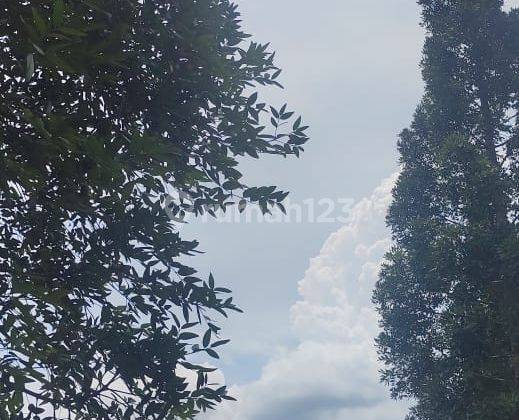 Kavling view gunung salak dan lapangan golf 11