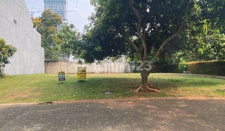 Dijual Kavling Bentuk Kotak Hoek Pojok!! Foresta Bsd City Dijual Kavling Bentuk Kotak Hoek Pojok!! Foresta Bsd City