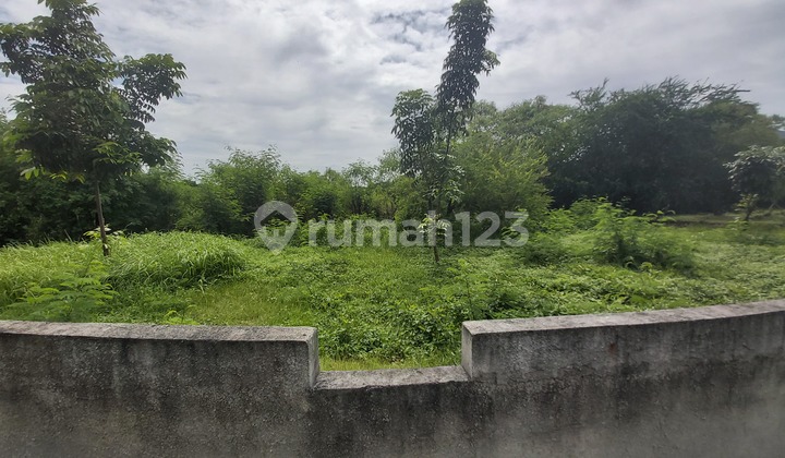 Jual Tanah Super Murah harga Sepertiga dari NJOP Jual Tanah Super Murah harga Sepertiga dari NJOP