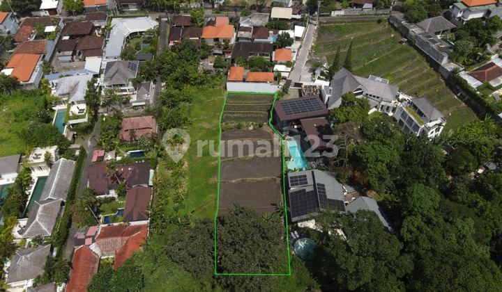 Prime Land In Umalas For Lease