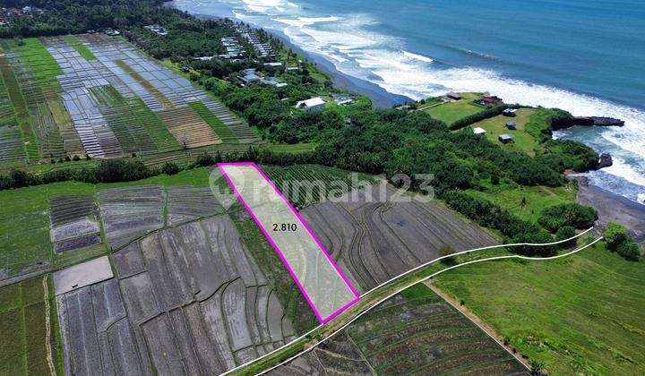 Tanah Lokasi Strategis Dekat Pantai Kelating Tabanan Tanah Lokasi Strategis Dekat Pantai Kelating Tabanan