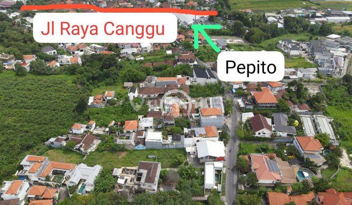 Rare Small Plot For Sale Tumbak Bayuh Pererenan  2