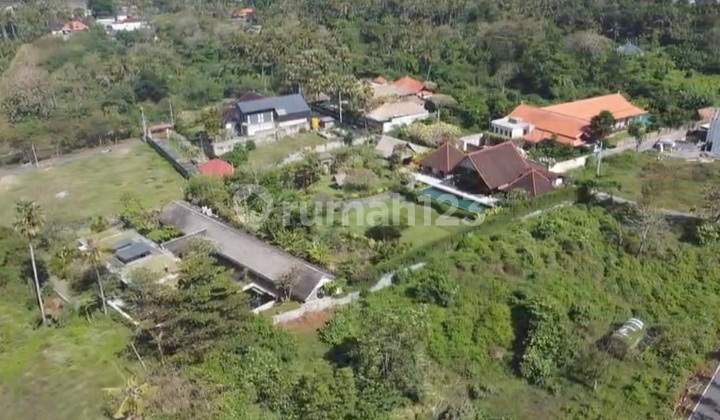 Tanah Hanya 100 meter dari Pantai Saba 