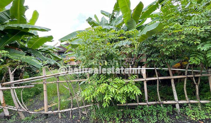 Langka Plot Kecil Tanah di Berawa SHM Near Jl Tegal Sari 3