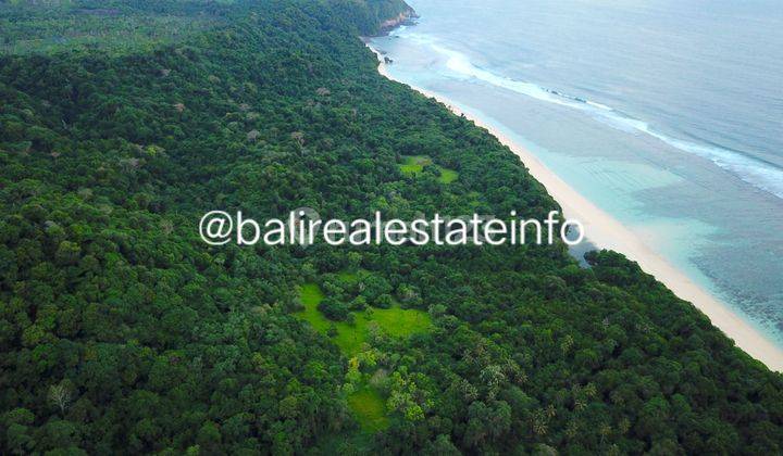 Sumba Beachfront Land For Sale SHM 29.455 Ha 1