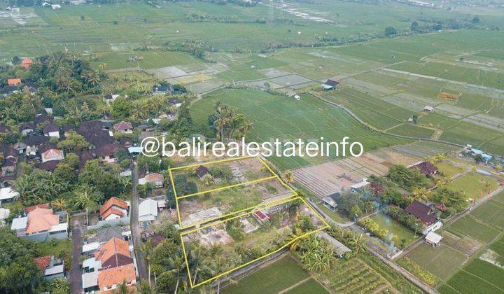 3 Plots Land In Buduk, Mengwi For Lease HS 1