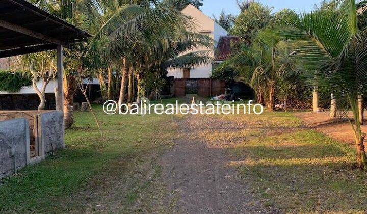 3 Plots Land In Buduk, Mengwi For Lease HS 7