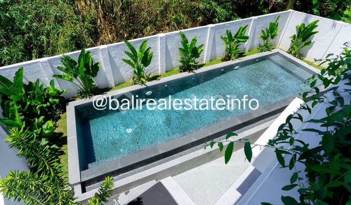 Villa Rumah Hijau For Sale Located In Berawa 20