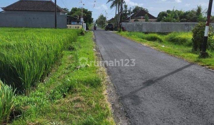 Disewakan Sebidang Tanah Kosong di Jalan Pantai Kedungu 1