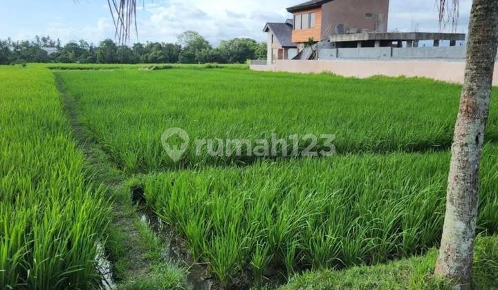 Disewakan Sebidang Tanah Kosong di Jalan Pantai Kedungu 4