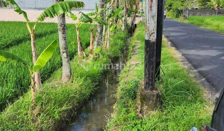 Disewakan Sebidang Tanah Kosong di Jalan Pantai Kedungu 5