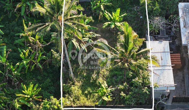 Dikontrakan Tanah, di Lod Tunduh, Ubud, Gianyar 2